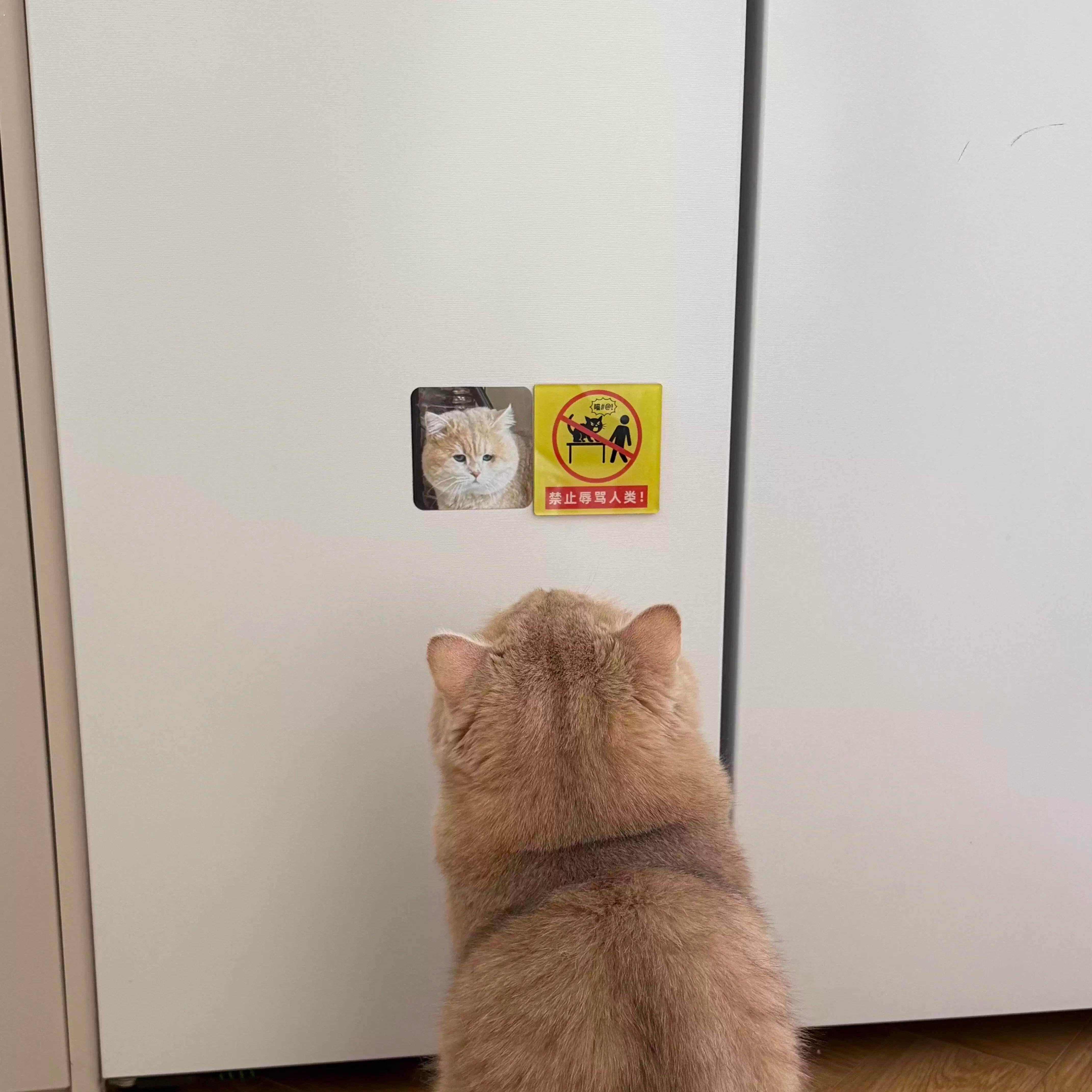 冰箱贴磁吸2026新款禁止殴打主人创意猫咪狗狗可爱玩具贴饰拍照