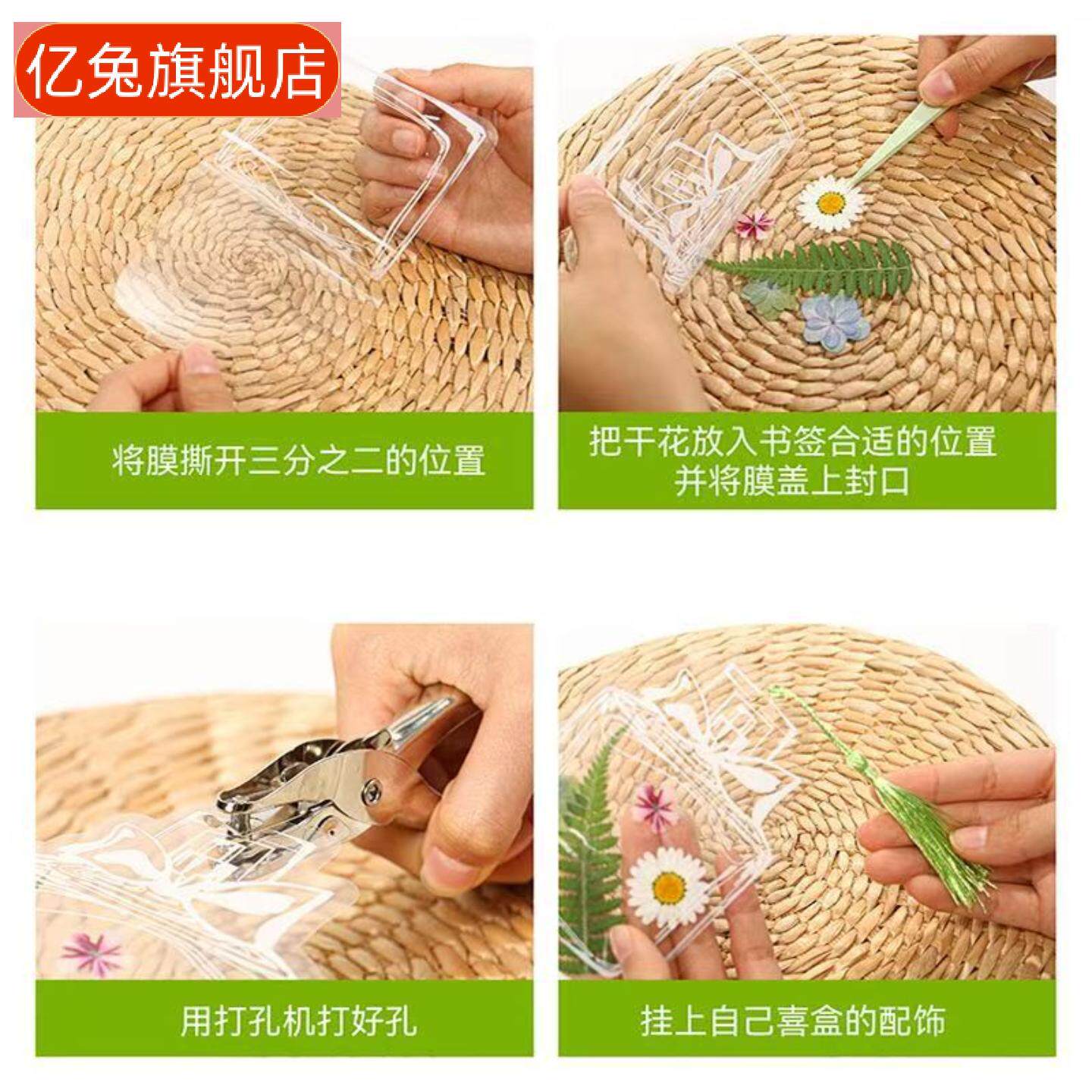 创意春天自制植物标本学生透明