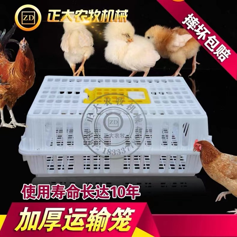 鸡运输笼塑料运输鸡笼鸡用周转箱成鸡鸭鹅兔鸽用鸡笼鸡筐家禽鸡筐
