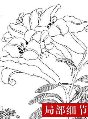 CQ37工笔画白描打印底稿 恽寿平-百花图卷(全卷)临摹练习线描