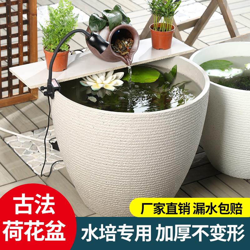 古法养鱼缸庭院大缸水缸家用养金鱼乌龟水草水培荷花睡莲碗莲花盆