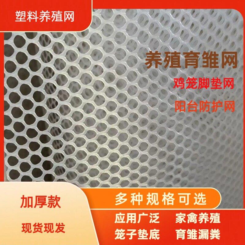塑料养殖网育雏网鸡鸭鹅养殖网漏粪网养蚕网鸡笼脚垫阳台防护网