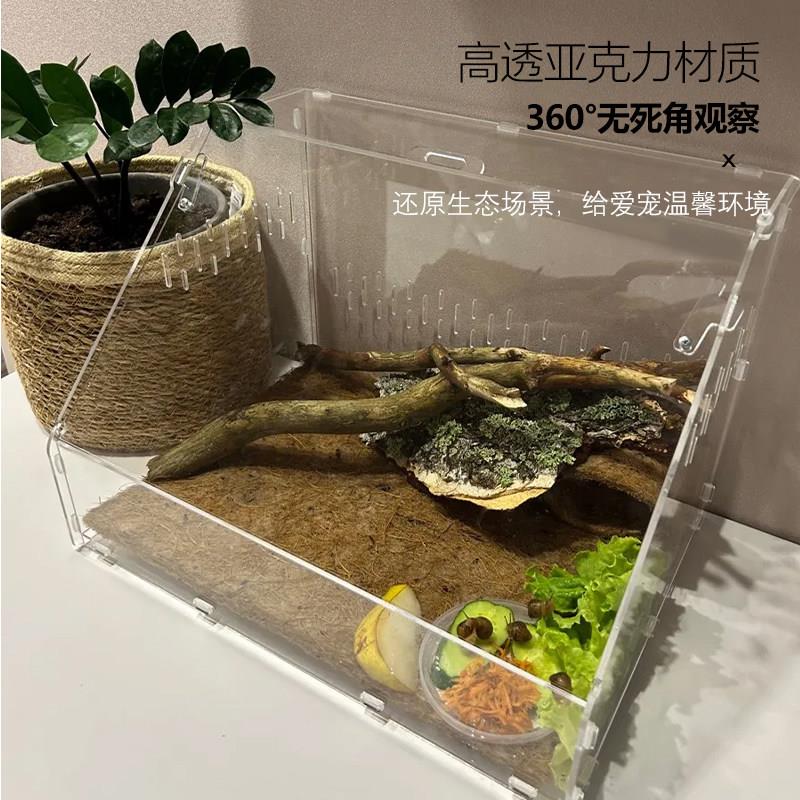 爬宠亚克力饲养盒爬虫宠物守宫箱蜗牛蜥蜴角蛙蛇蜘蛛生态螳螂缸