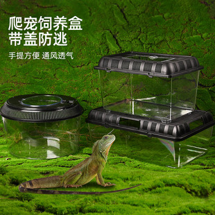 爬宠饲养盒带盖乌龟缸手提式爬虫冬眠箱角蛙守宫螃蟹专用养殖盒子