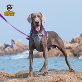 大狗防爆冲背心式 胸背带金毛拉布拉多中大型犬背带遛狗绳狗牵引绳