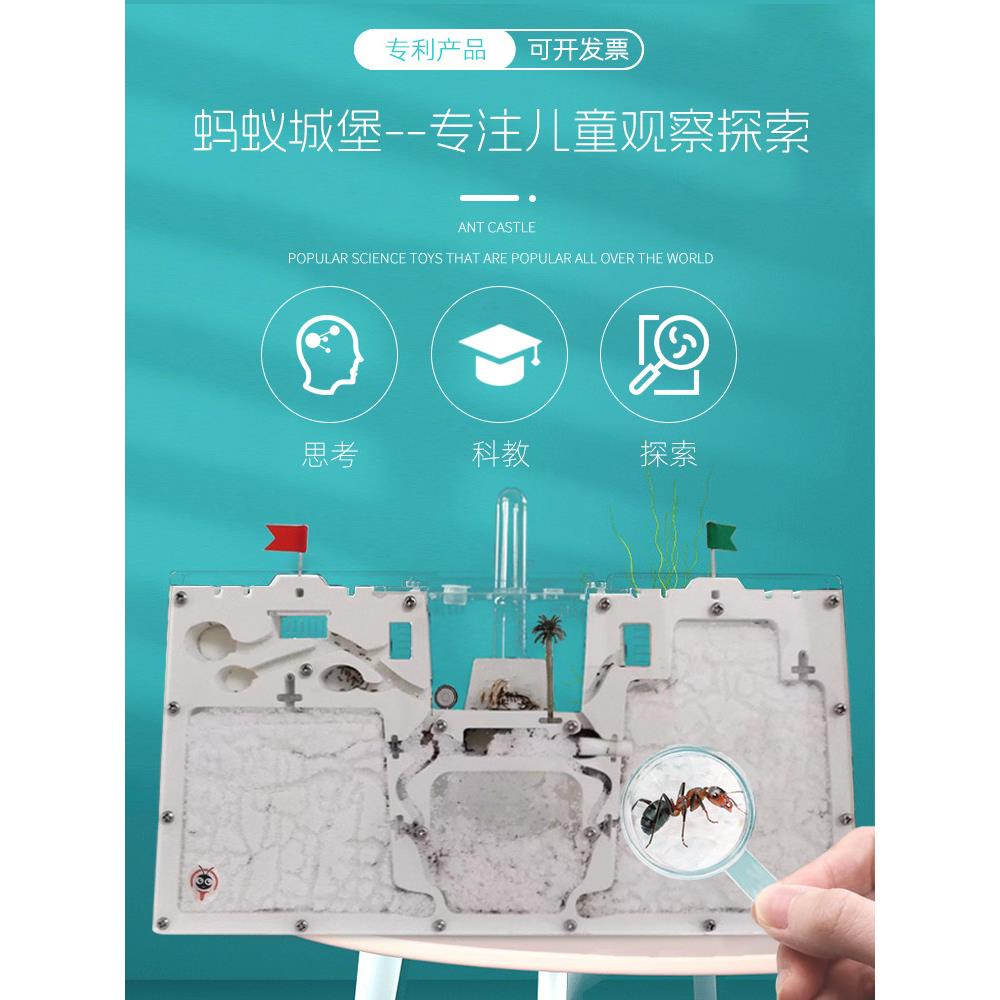 蚂蚁生态箱送蚁后学生观察大型饲养盒蚂蚁城堡工坊宠物蚁巢蚂蚁窝