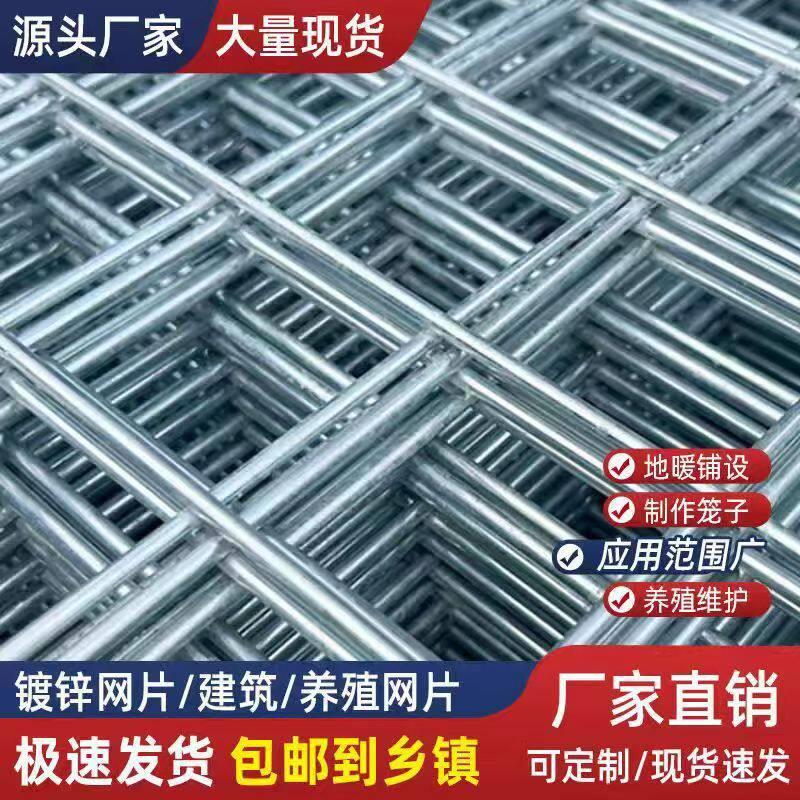 镀锌网片围栏钢筋电焊网铁丝网加粗养殖建筑网格钢丝防护钢丝网