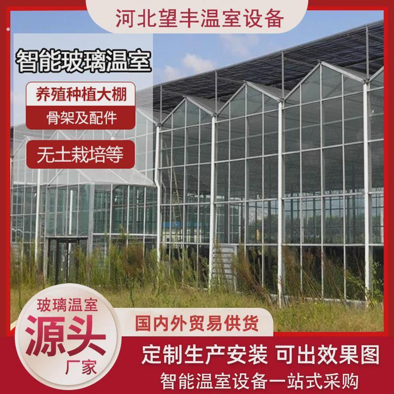智能玻璃大棚厂家连栋温室大棚配件无土栽培农业种植棚钢管骨架