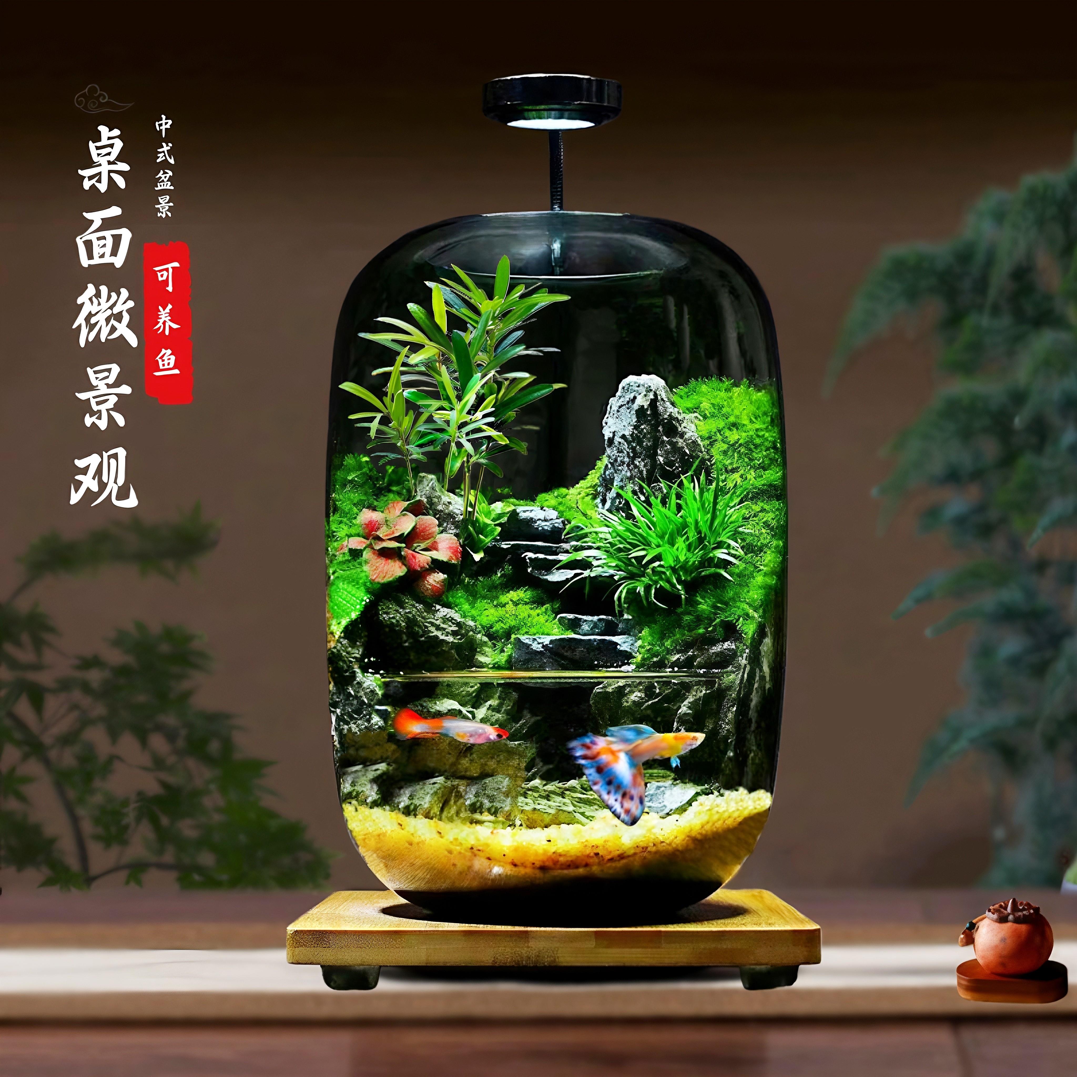苔藓微景观生态瓶造景植物桌面森林可养鱼生态缸青苔雨林生态鱼缸