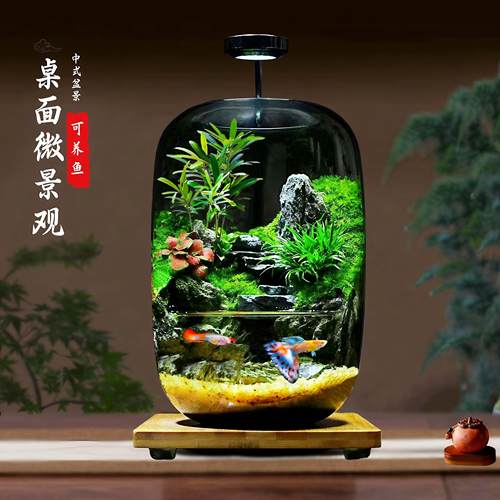 苔藓微景观生态瓶造景植物桌面森林可养鱼生态缸青苔雨林生态鱼缸