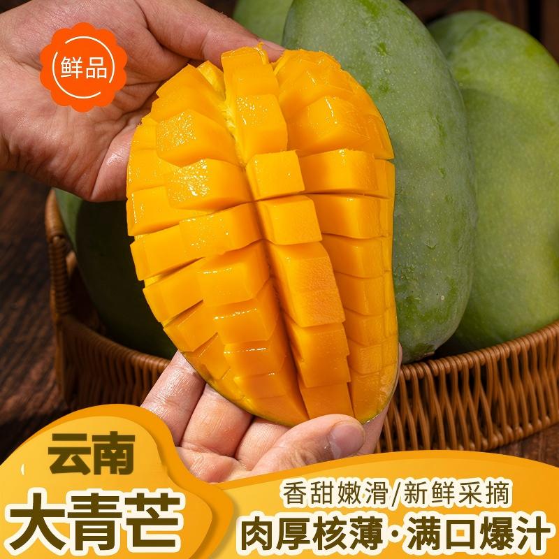 【秒杀专享】云南大青芒5斤净重时令水果新鲜皮薄肉厚产地直发