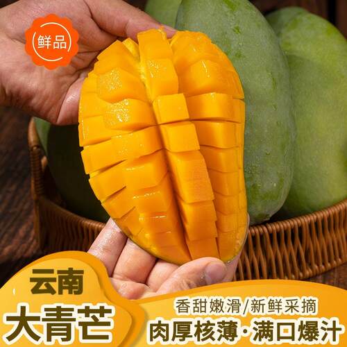 【秒杀专享】云南大青芒5斤净重时令水果新鲜皮薄肉厚产地直发