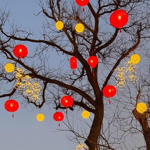 新年元旦户外防水灯笼藤球灯景区公园街道景观氛围亮化装饰挂树灯