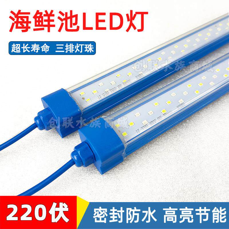 海鲜池鱼缸灯220V高亮节能防水LED灯照明灯条蓝壳养鱼水族专用