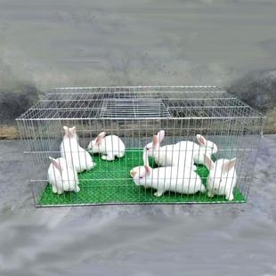 加密加粗镀锌铁丝笼鸡笼鸽子笼兔笼鸟笼运输笼养殖笼鸭鹅笼鹌鹑笼