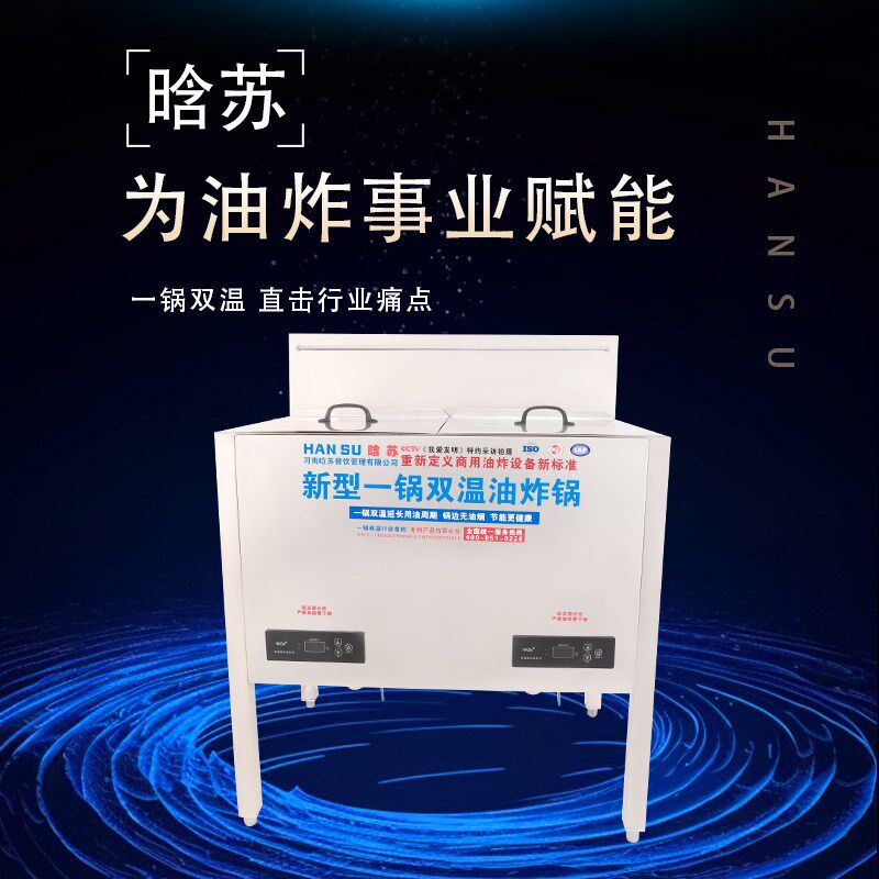 20L立式双杠电炸锅一锅双温油炸锅复合餐厅炸鸡炸鸭炸肉商用炸炉