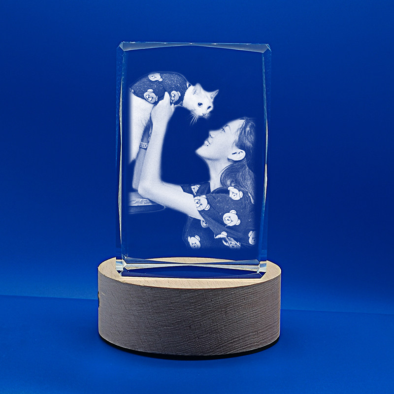 猫咪狗狗模型摆件 宠物离世纪念品毛发爪印照片定制模型 生日礼物