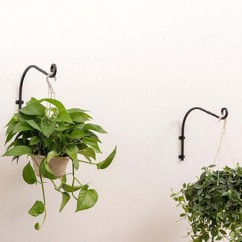铁艺壁挂花盆挂钩花架园艺室内阳台吊篮架绿萝花盆吊悬挂钩花支架,住宅家具,花架/花几,淘宝优惠券,粉丝福利购,淘宝优惠卷
