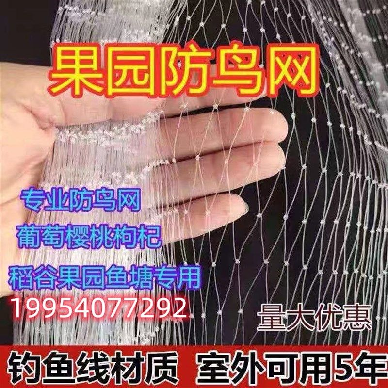 鱼塘用尼龙防鸟网4公分5公分网孔防大鸟天网专用青蛙泥鳅龙虾用网,农机/农具/农膜,农用防鸟网,淘宝优惠券,粉丝福利购,淘宝优惠卷