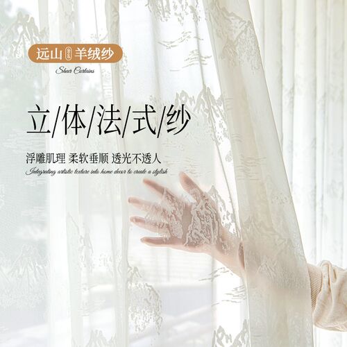 纱帘窗帘透光不透人客厅飘窗遮阳台白色窗纱白纱2024新款薄纱法式