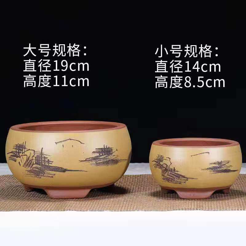 紫砂小花盆蝴蝶兰室内创意盆景多肉精致君子兰兰花仙人球桌面摆件