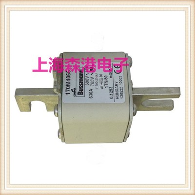 熔断器,保险丝底座熔芯170M4066