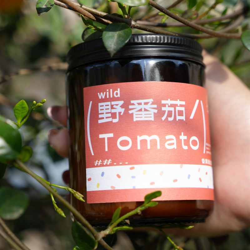 小阿姨新款野番茄味道香薰蜡烛经典复刻清新藤蔓卧室香气室内,家居饰品,香薰蜡烛,淘宝优惠券,粉丝福利购,淘宝优惠卷