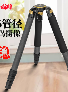 专业拍鸟摄像缔峰DF3640管径无中轴碳纤维三脚架75碗口高承重单反相机视频录像微电影碳素三角架长焦拍摄支架