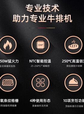 German Pool/多功能料理锅星级推荐商用牛扒机全自动高温牛排机