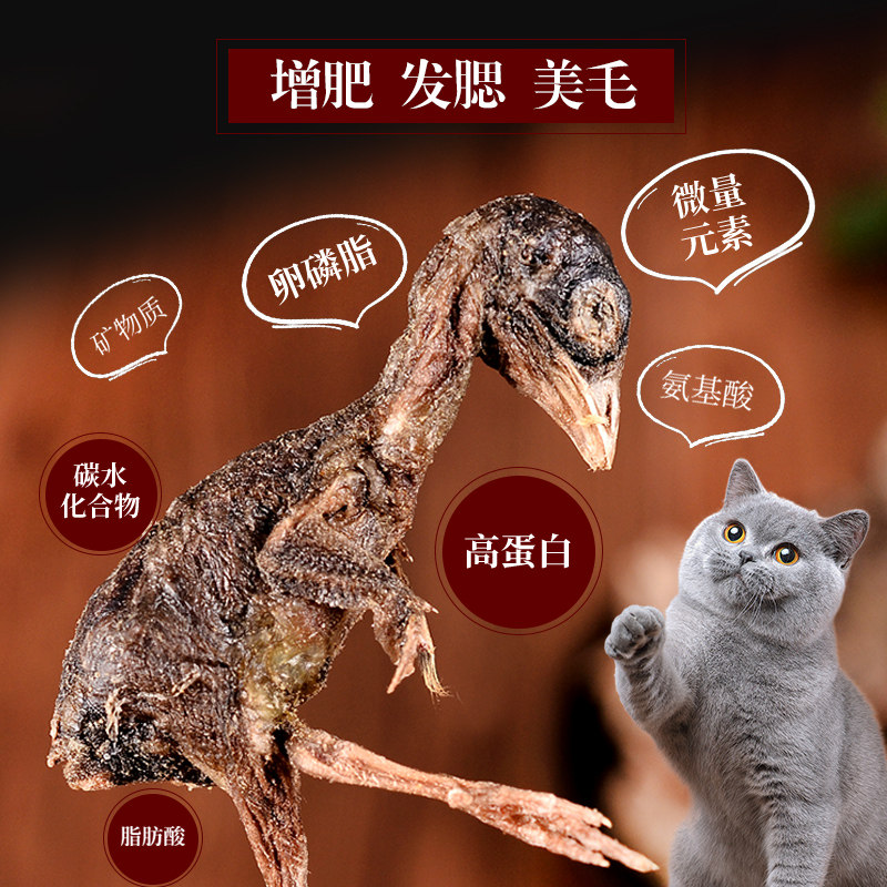 臻的猫冻干小鹌鹑宠物猫零食狗粮桶装肉干猫咪冻干猫零食幼猫主食,宠物/宠物食品及用品,猫冻干零食,淘宝优惠券,粉丝福利购,淘宝优惠卷