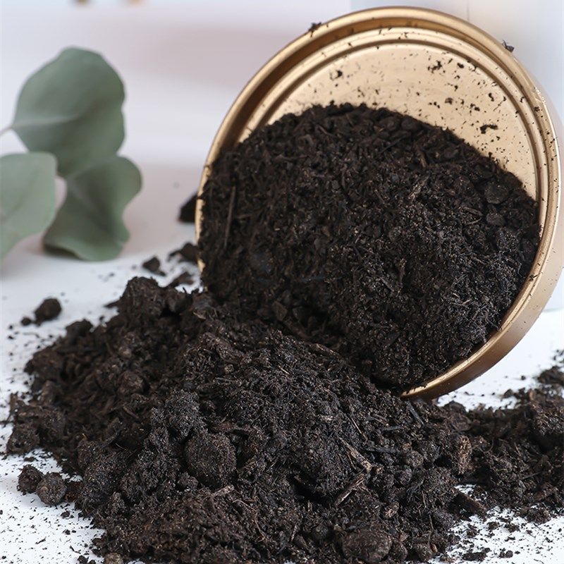 花土营养土种植土通用型多肉土家用绿萝专用土花泥绿植土壤包邮,鲜花速递/花卉仿真/绿植园艺,介质/营养土,淘宝优惠券,粉丝福利购,淘宝优惠卷