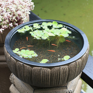 汉韵堂户外花园多肉花盆庭院花园布置创意阳台造景装饰水培植物盆