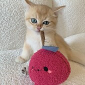 宠物玩具猫咪解闷自嗨木天蓼逗猫啃咬磨牙棒耐撕咬清新口腔猫薄荷