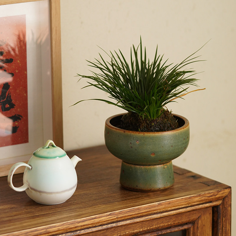 手工粗陶复古小花盆茶桌茶几玄关装饰摆件陶瓷水养绿植菖蒲小花器,家居饰品,花盆,淘宝优惠券,粉丝福利购,淘宝优惠卷