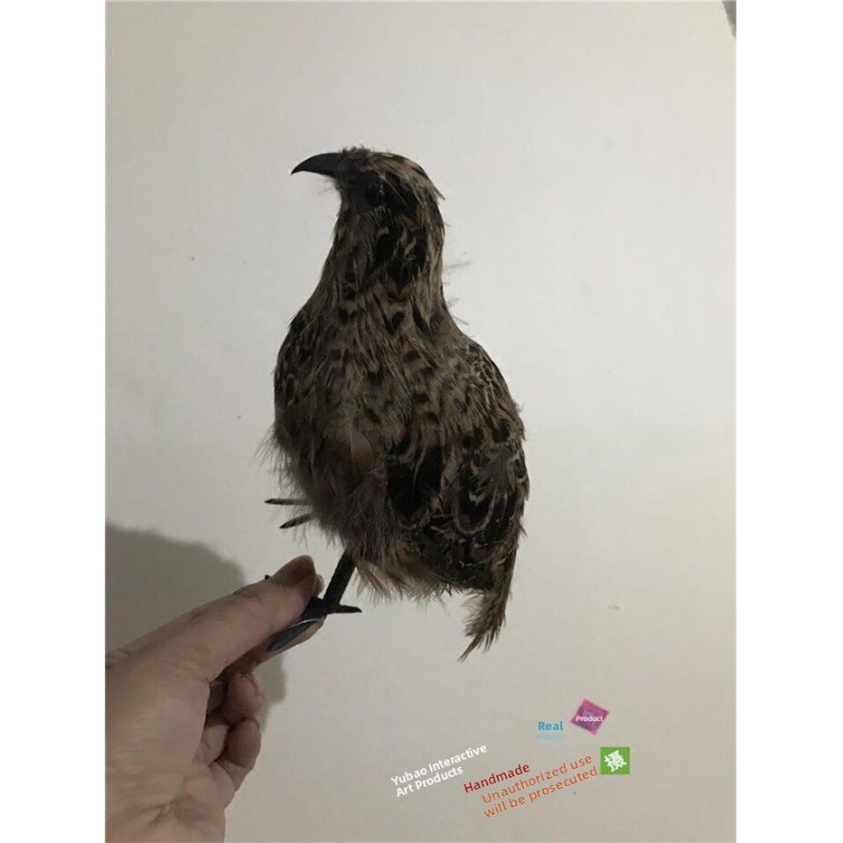 彷真鹌鹑模型园林摆件羽毛动物影视拍摄道具小鸟模型室内鸟笼装饰