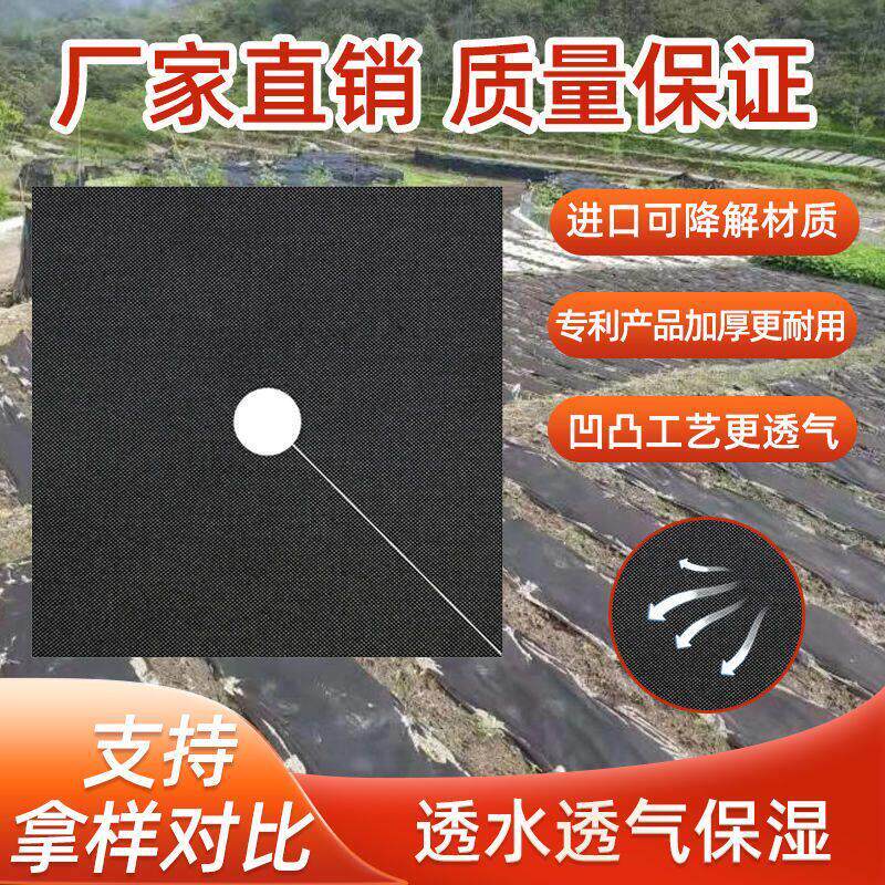 新型防草布透气透水农用薄膜厂家直销盖地膜果树槟榔除草地布