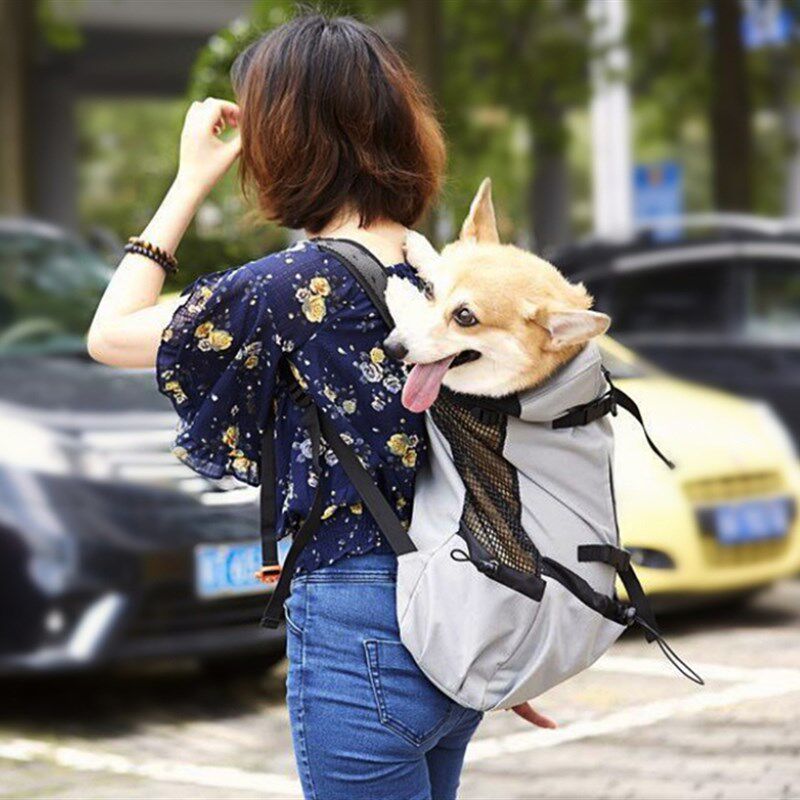 2021新宠物背包双肩大狗包透气骑车爬楼柯基法斗柴犬边牧背狗狗袋