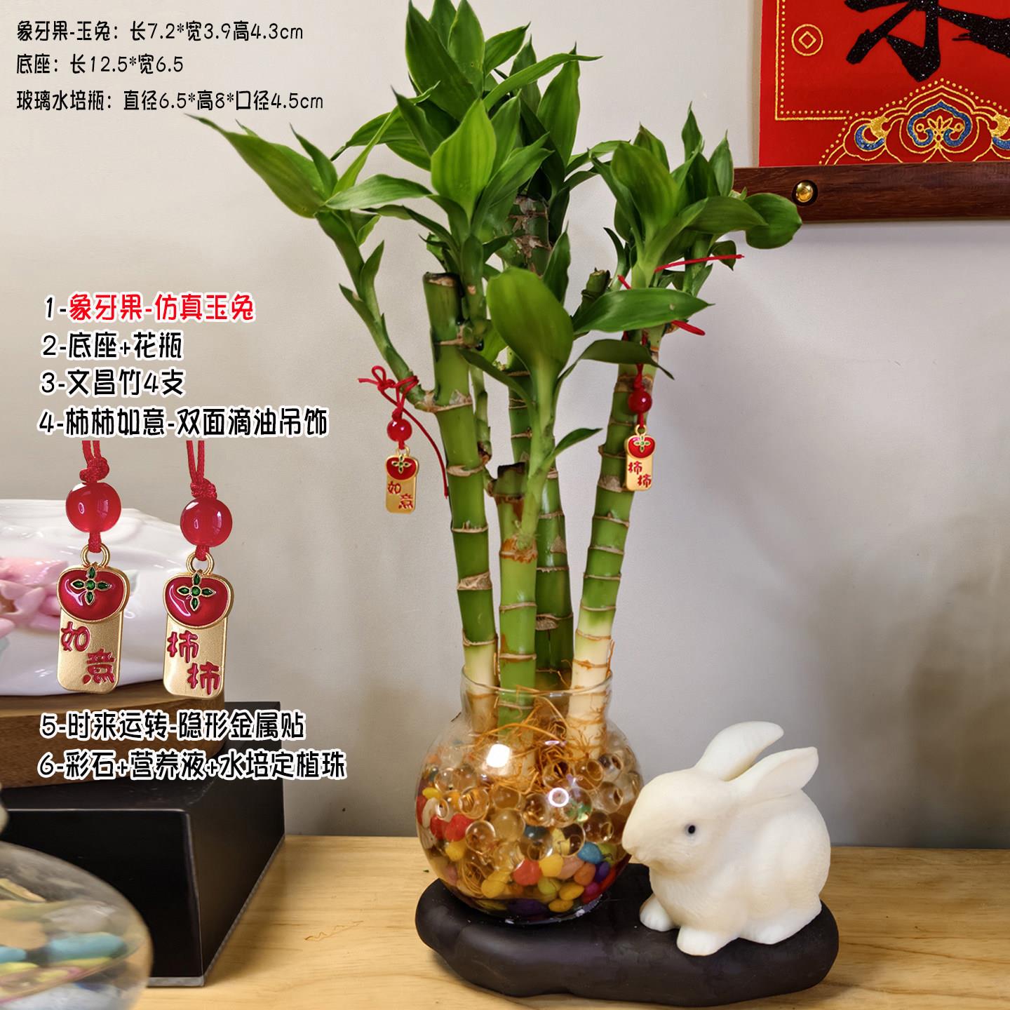 水养富贵竹客厅门店优质风水富贵竹文昌竹水培兔子花瓶富贵竹