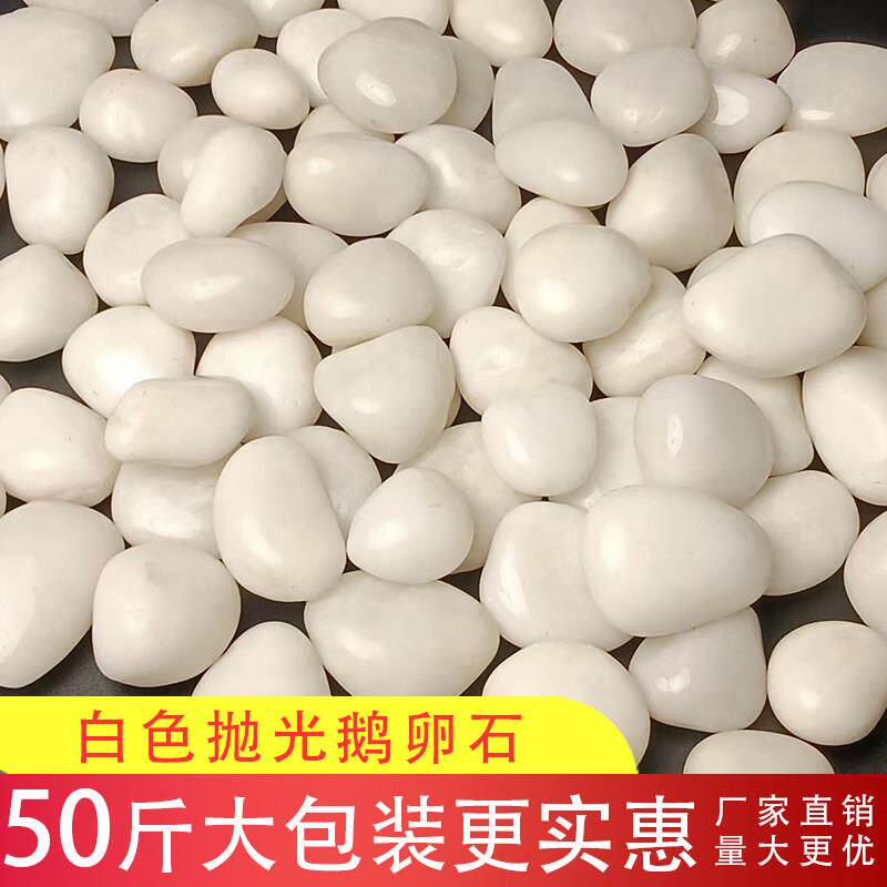 白色抛光鹅卵石雨花石庭院阳台铺路铺地大小鹅软石鱼缸造景白石头