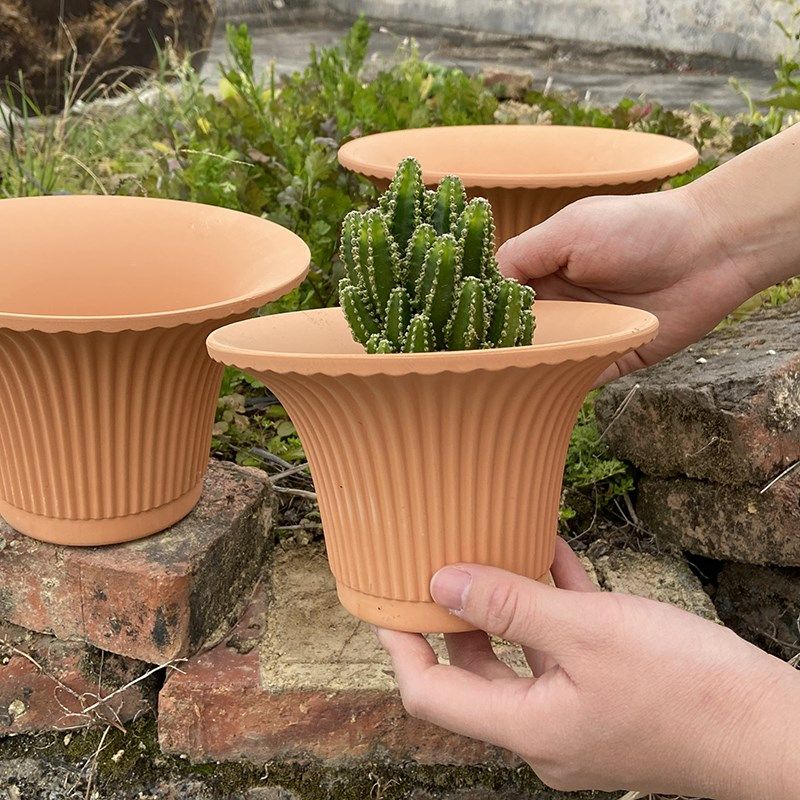多肉花盆浮雕红陶盆带托盘大号陶土粗陶盆透气吸水绿植阳台瓦尼盆
