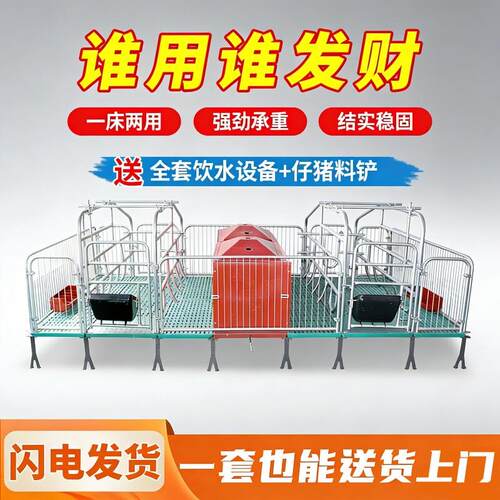 双体母猪产床保育床一体产保两用床产房养殖用产床产保单体分娩床