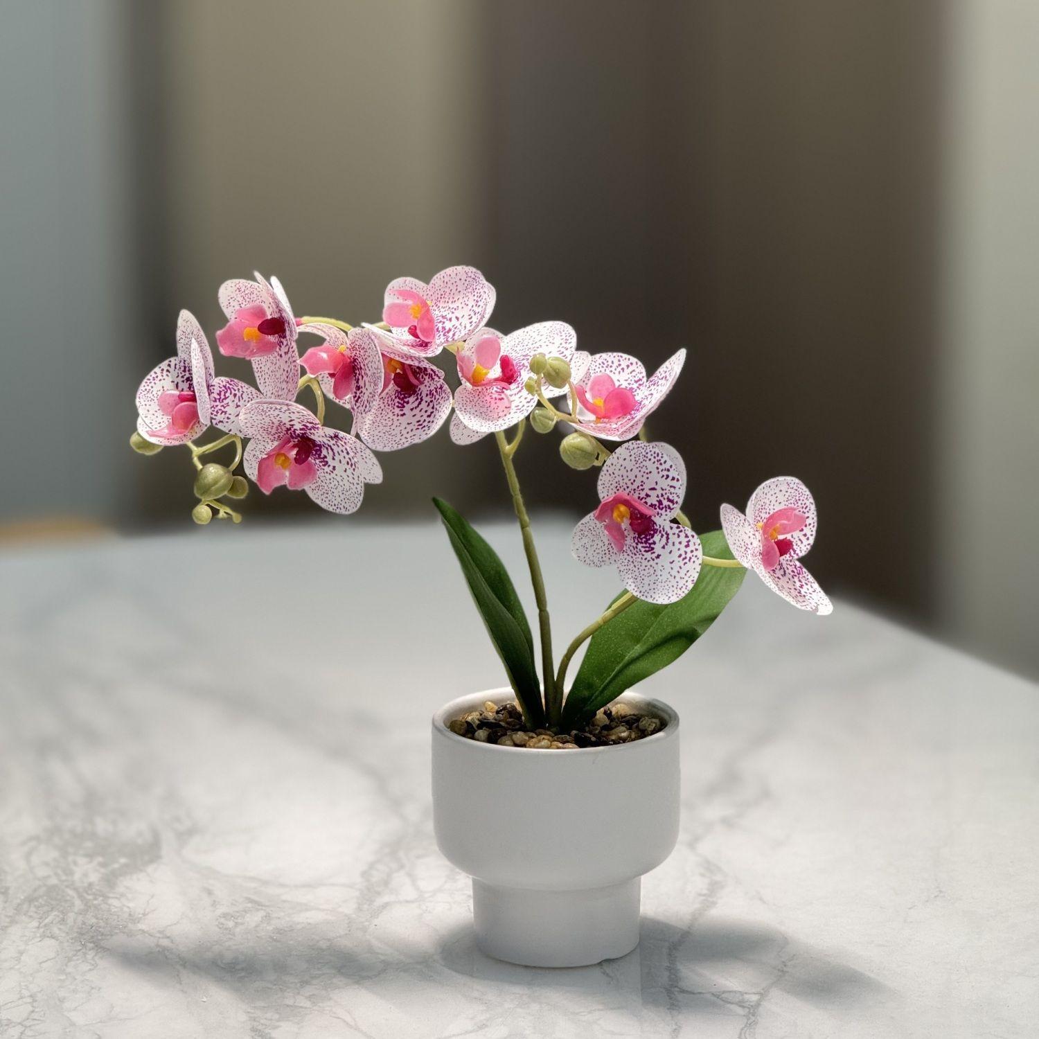 蝴蝶兰仿真花摆设花瓶高级感假花小众花艺摆件装饰客厅玄关轻奢