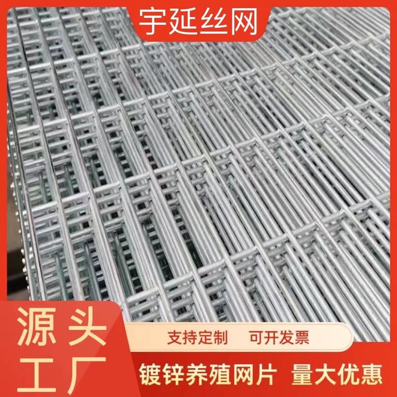 镀锌电焊网片鸽舍专用地网防护养殖网热浸镀锌长孔铁丝网格花园围