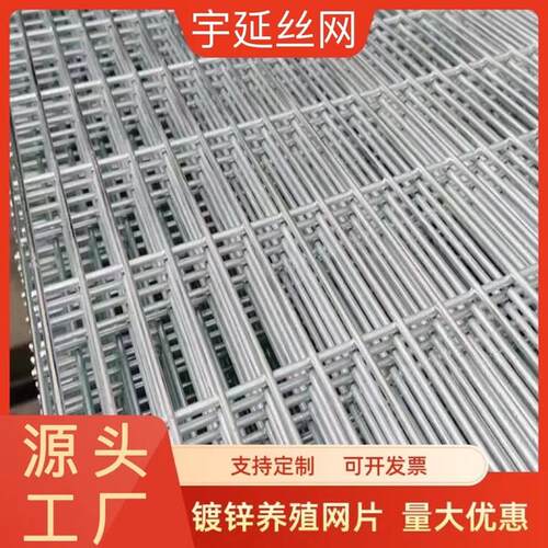 镀锌电焊网片鸽舍专用地网防护养殖网热浸镀锌长孔铁丝网格花园围