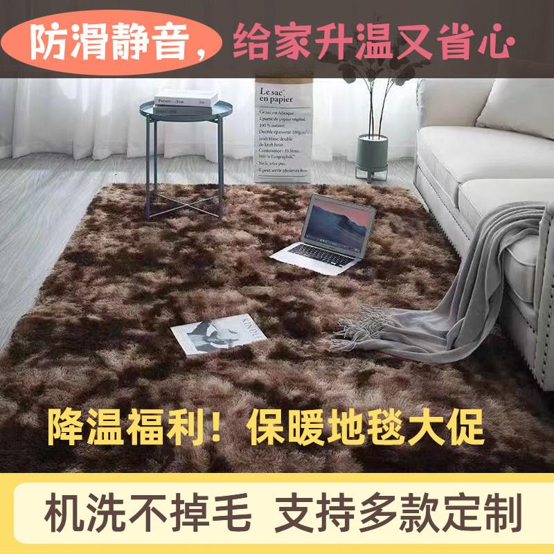 加厚防滑可水洗丝毛客厅卧室茶几地毯飘窗床边地垫满铺地毯可定做