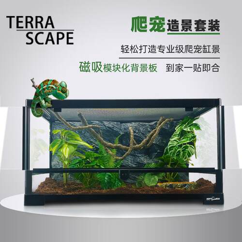 爬宠雨林岩石风30609120缸蜥蜴肥尾豹纹守宫造景3d立体背景板套装