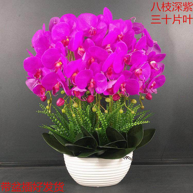 彷真蝴蝶兰盆栽花艺套装装饰花电视柜绢花假花客厅玄关卧室 包邮