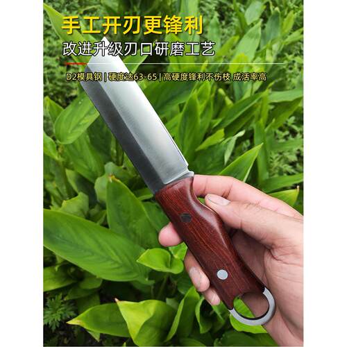 D2模具钢红檀嫁接刀硬度63果树大枝直刀园林嫁接工具园艺芽接刀