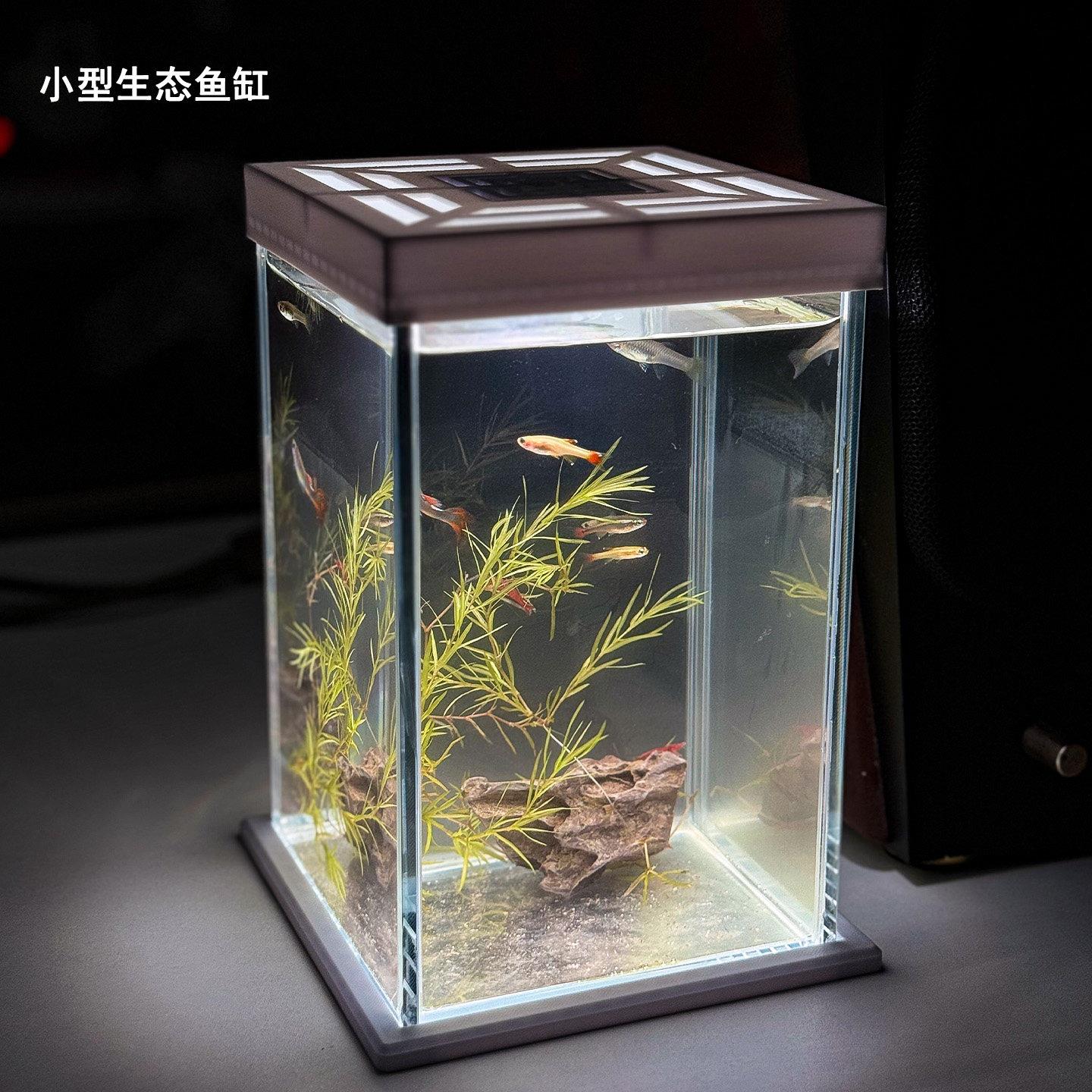 创意懒人办公桌面鱼缸家用客厅小型生态造景专用超白玻璃水族箱