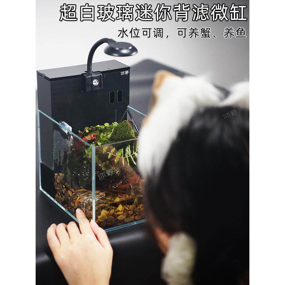 沐野小贝迷你背滤微缸小型珊瑚海水缸螃蟹缸水陆微景观苔藓生态缸
